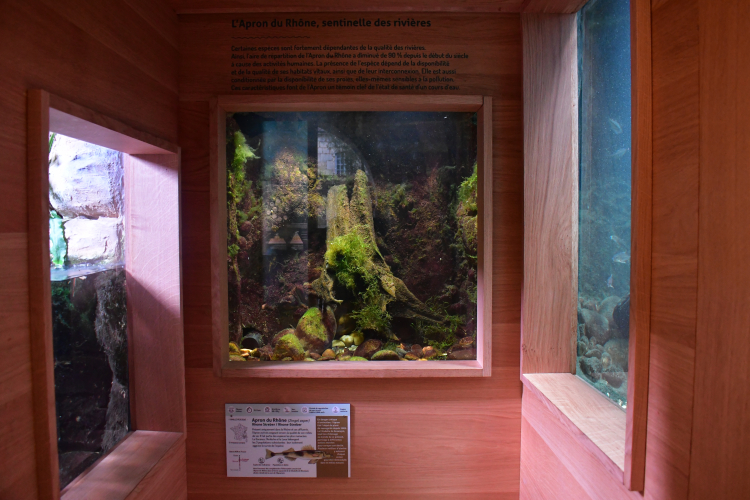 La citadelle de Besançon, au chevet des espèces menacées