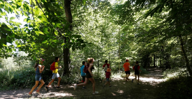 Besançon : projet artistique en forêt de Chailluz