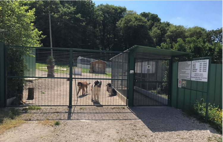 Gray : « Appliquons déjà correctement les lois existantes »