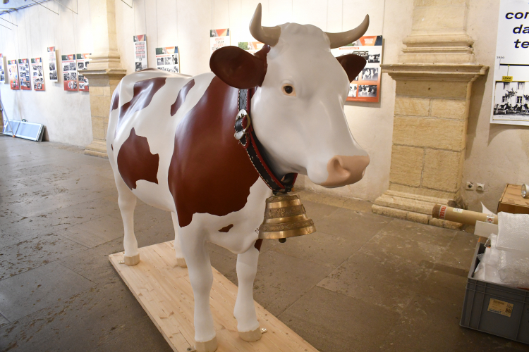 Pontarlier : Une exposition sur le comté et la Montbéliarde