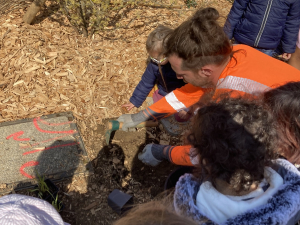 Le parvis du CHU Minjoz végétalisé pour le bien être de tous