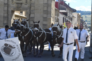 Haut-Doubs / Festicheval : un défilé haut en couleur
