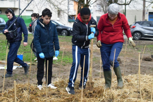 Besançon : plantation d’une mini forêt à Montrapon