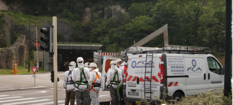 Besançon : nouvelle campagne de dératisation