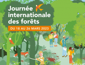 Des collégiens en immersion dans le milieu forestier à l&#039;occasion de la journée internationale des forêts