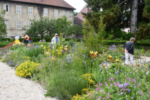 Pontarlier : ouverture du parc Jeannine Dessay