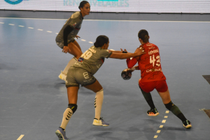Handball féminin : Derby au Palais des Sports ce mercredi soir