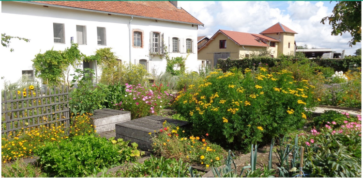 Flagey : la Ferme Courbet c&eacute;l&egrave;bre la biodiversit&eacute; ce dimanche 26 avril