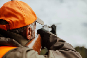 Mamirolle : le Préfet du Doubs met un terme à la saison de chasse