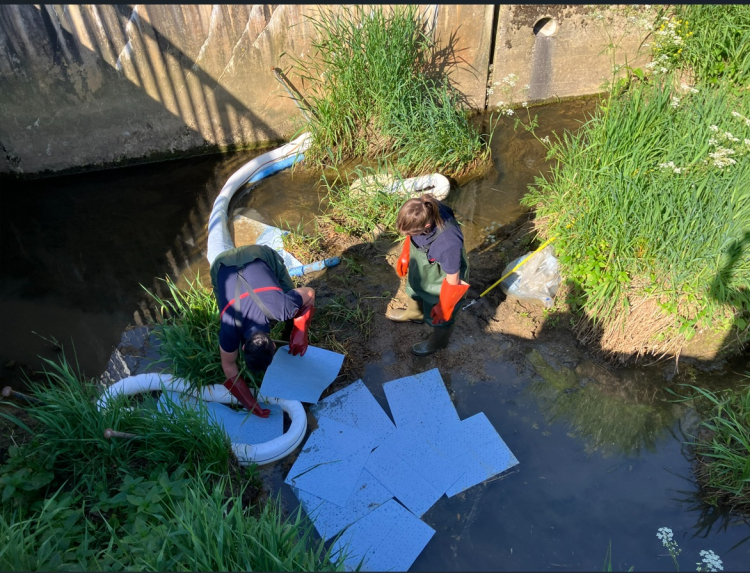 Morteau / Pollution du ruisseau de la Tanche : &laquo; Les cons&eacute;quences sont importantes et irr&eacute;versibles &raquo;