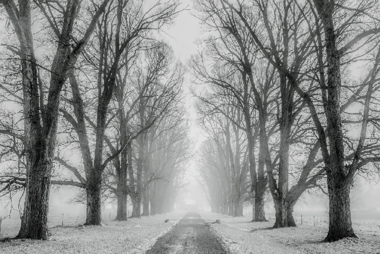 Climat : nette baisse des températures