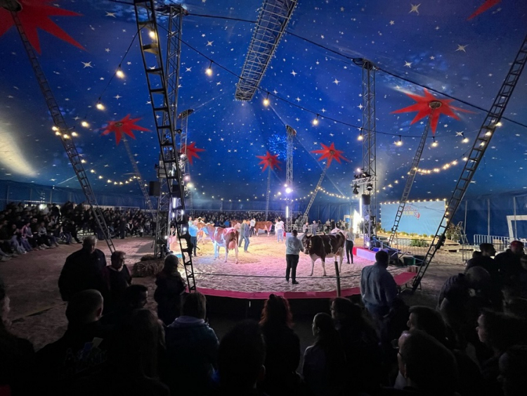 Pontarlier : Spectacul&#039;LEM s&#039;est installé à Pourny