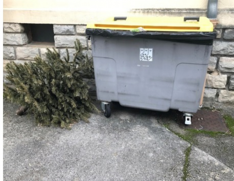 Que deviennent les sapins de Noël à Besançon après les fêtes ?