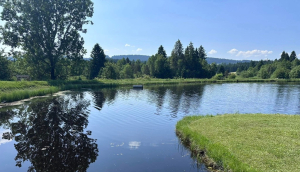 Restauration écologique de l’étang des Belles-Seignes à Noël-Cerneux : un projet exemplaire pour la biodiversité