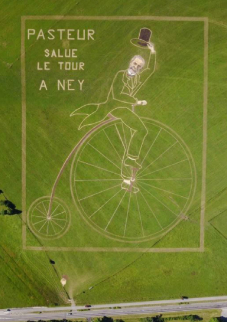 Tour de France : une oeuvre de Land Art représentant Pasteur près d’Arbois