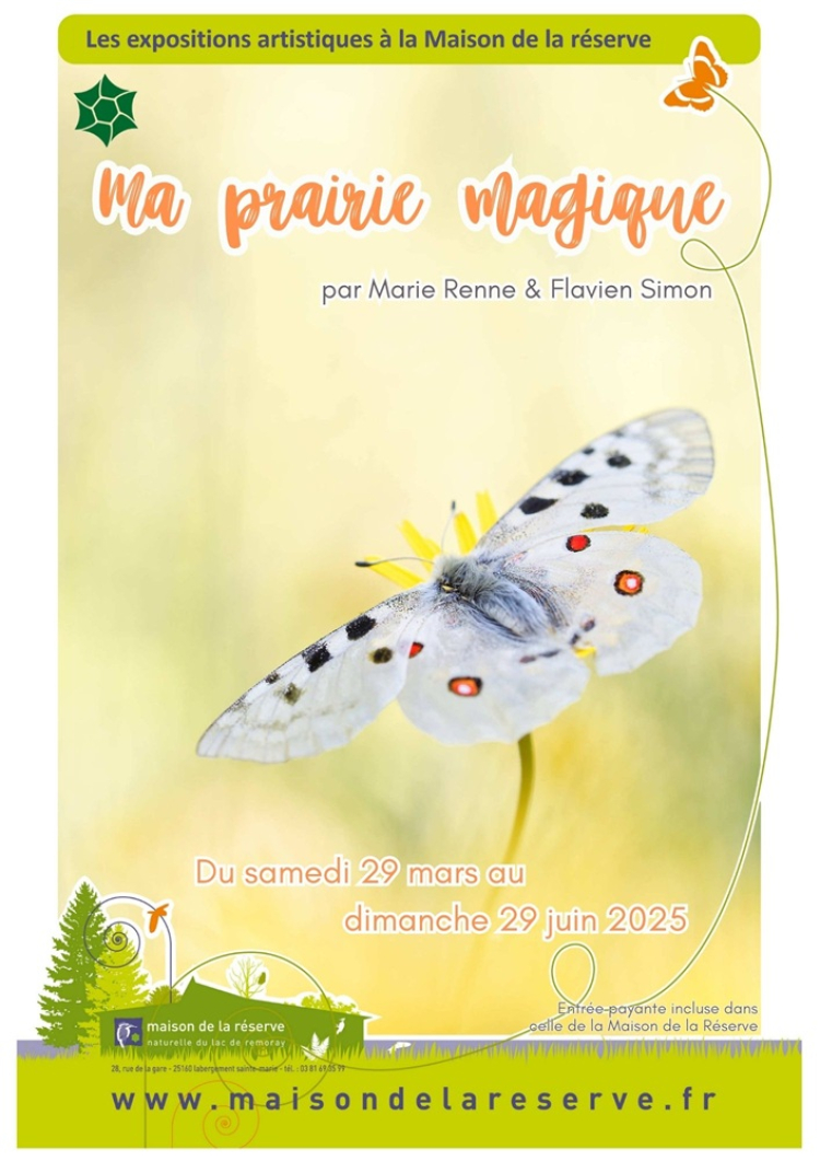 Labergement-Sainte-Marie / &quot;Ma prairie magique&quot; : une immersion poétique au cœur du Vercors