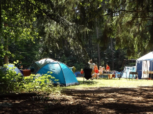 Eté 2023 : une fréquentation record grâce au camping