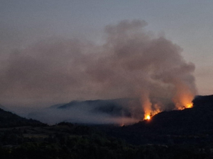 Feux de forêt : le point sur la situation dans le Jura
