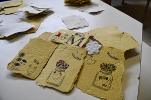 Levier : Les « cartes à planter » des collégiens