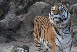Photo : Ville de Besançon