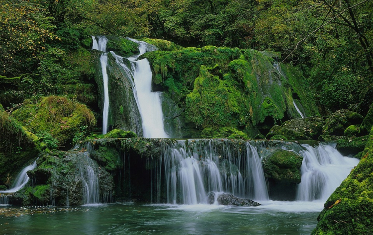 Seulement 26% des rivières en bon état écologique en Bourgogne-Franche-Comté