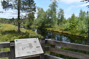 Les tourbières de Frasne-Bouverans : Un site naturel exceptionnel
