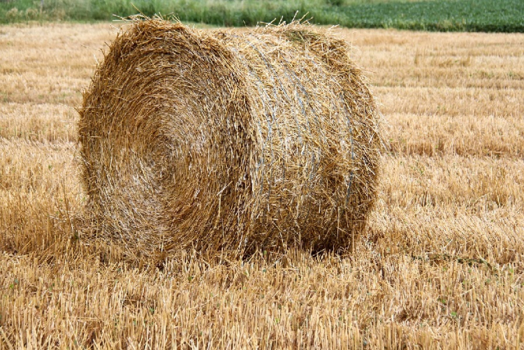 Opposés à un projet de Zone d&#039;Activité Economique : Rassemblement à Saint-Vit