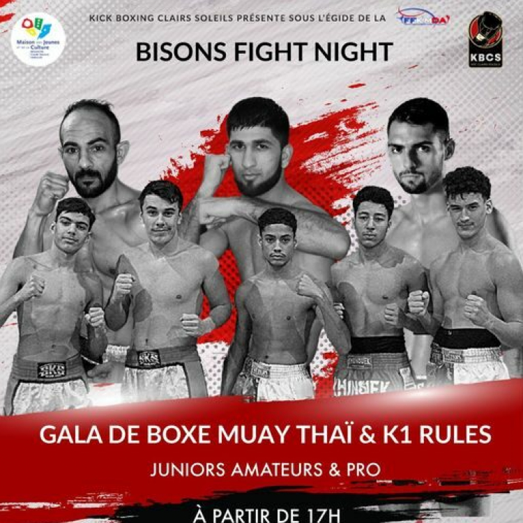 &quot;Bisons Fight Night&quot;, un gala de boxe ce samedi à Besançon