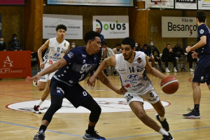 Basket / N1M : Le BesAC en déplacement à Pont-de-Cheruy ce soir