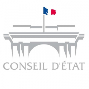 Manifestations pro Palestiniennes : Le Conseil d’Etat nuance la prise de position de Darmanin