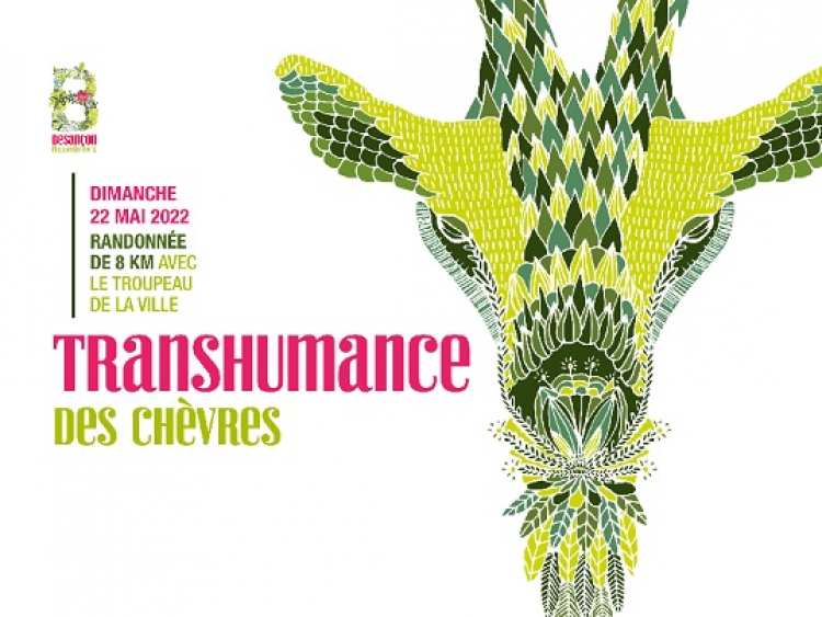 Transhumance des chèvres : une randonnée organisée à Besançon le 22 mai