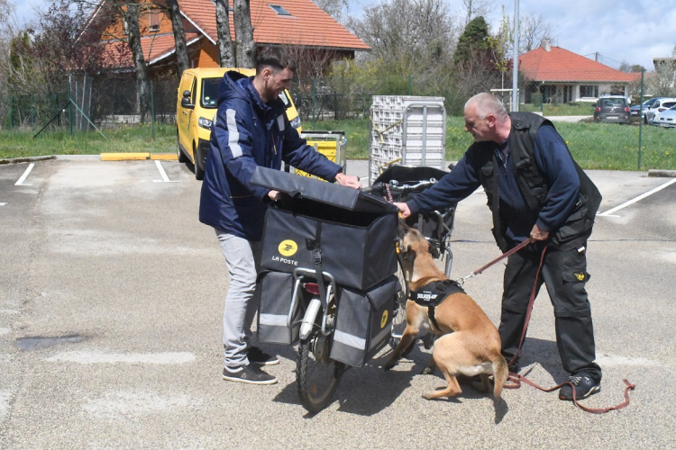 Valdahon : La poste sensibilise ses facteurs au comportement canin