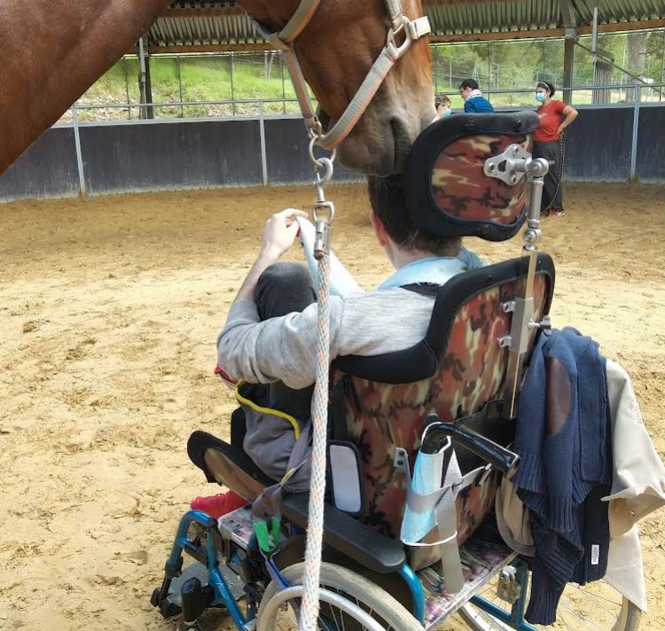 De l&#039;équithérapie à destination des personnes en situation de handicap