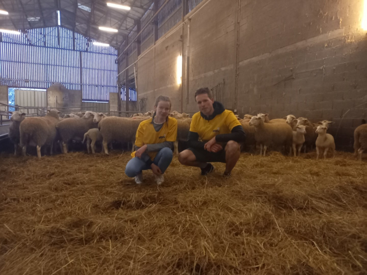 18ème édition des Ovinpiades : Deux franc-comtois qualifiés pour participer à la finale nationale